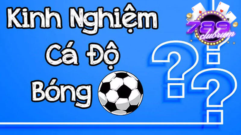 Kinh nghiệm cá cược thể thao 789Club để kiếm lợi nhuận cao